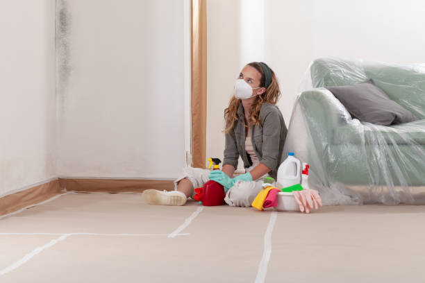 Reliable Mold Cleanup contractor in Algonquin, IL by Cheap Mold Removal